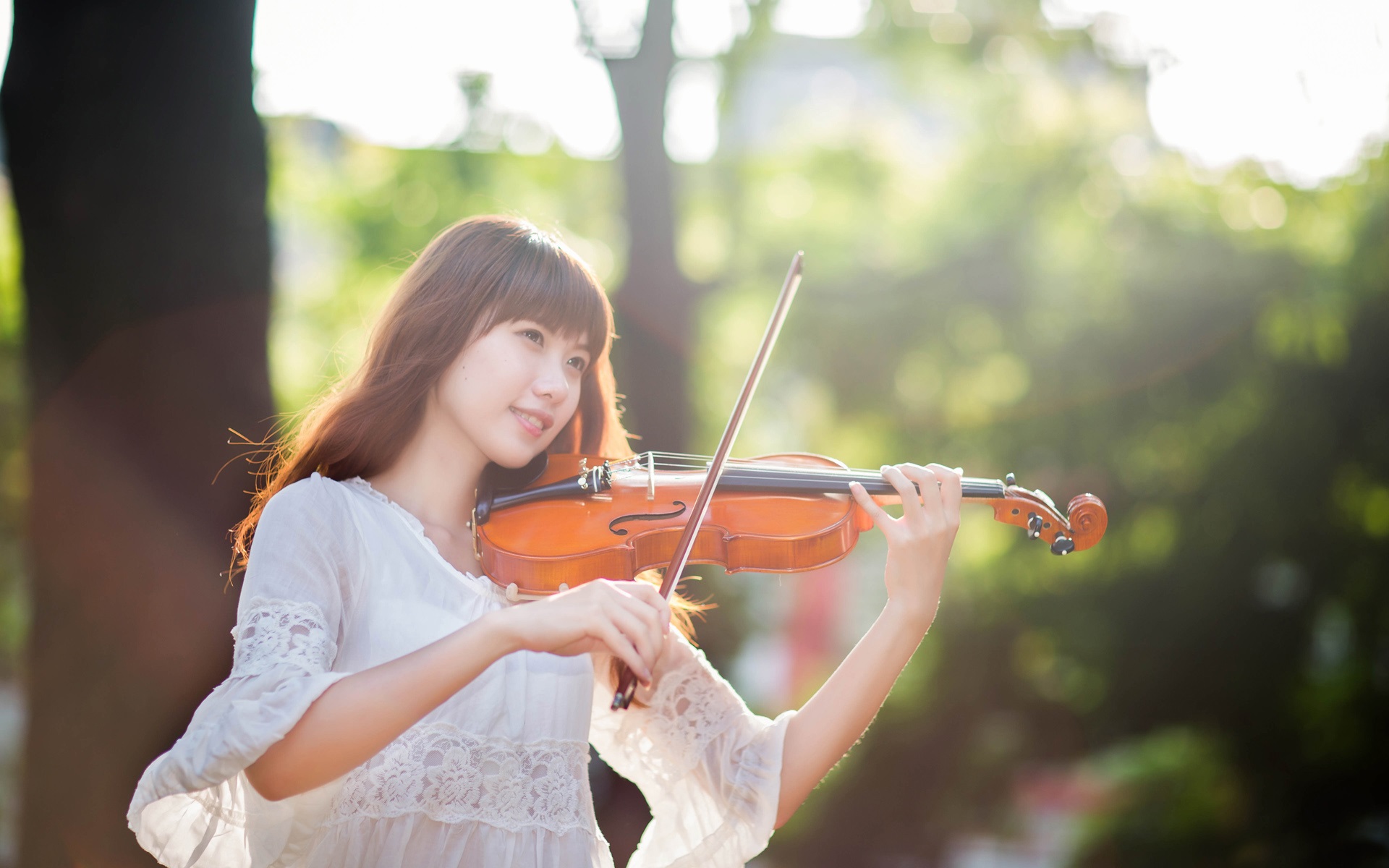 học violin