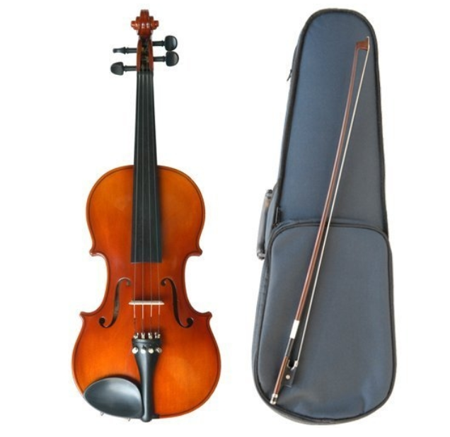 đàn violin giá rẻ cho người mới học