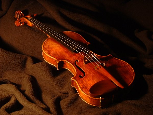 Mua đàn violin ở đâu