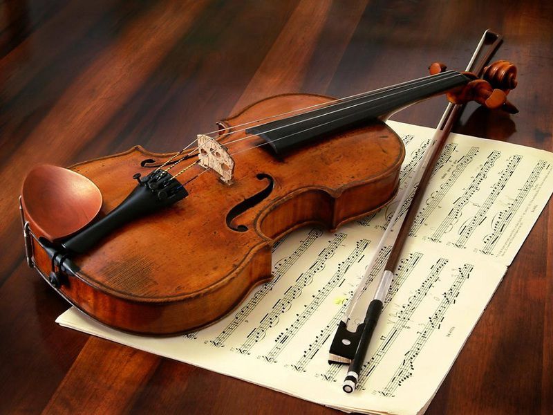 Thuê đàn violin và những điều cần lưu ý