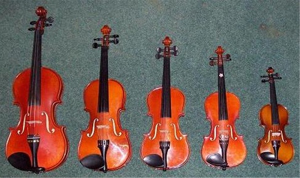 cửa hàng bán violin ở tphcm