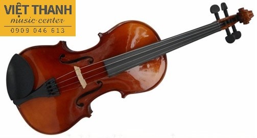 violin Omebo RV-205 44