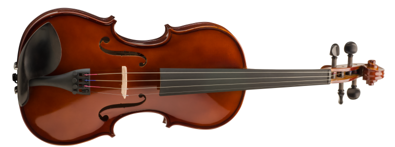 violin Selmer BWL11E4CH